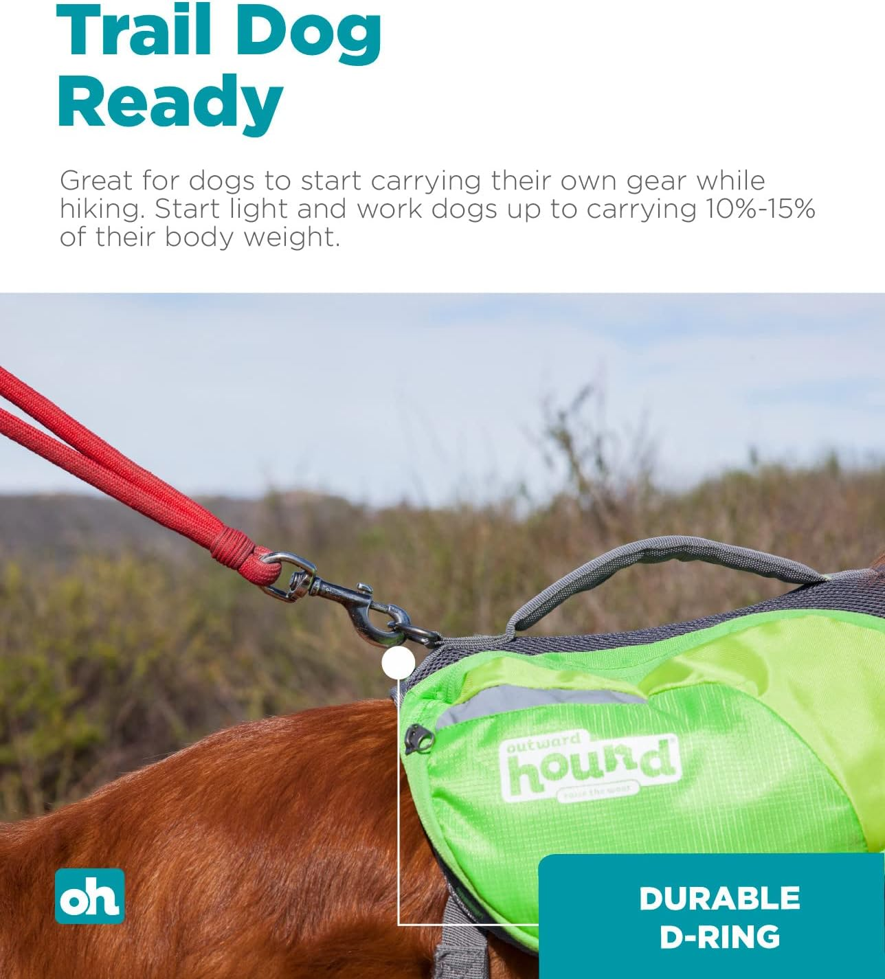 Outward Hound Daypak Green Dog Saddleback Backpack, Large image number 1