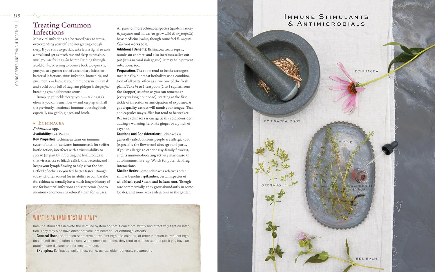 Body into Balance: an Herbal Guide to Holistic Self-Care image number 4