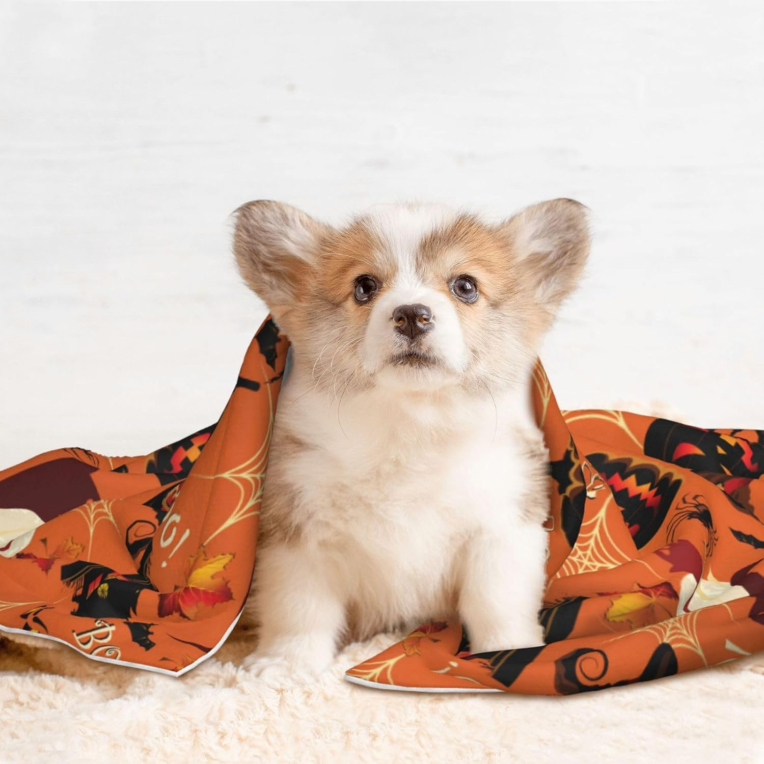 Plush Pet Blanket Pumpkins Moon Ghost Halloween 3D Paw Print Design Soft Fluffy Blankets Throw for Dog Puppy Cat Kitten Pets Gifts Medium