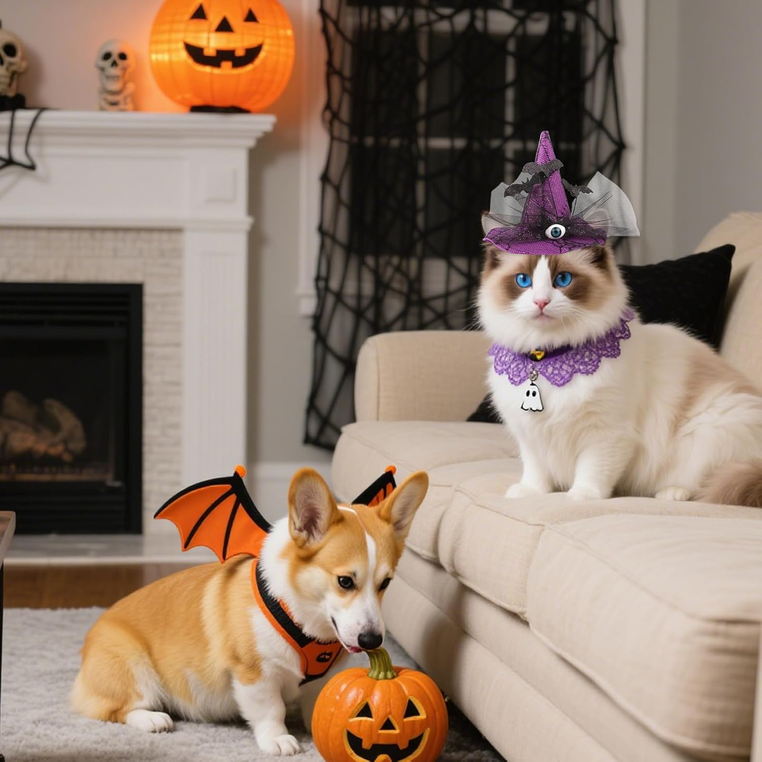 Cat Halloween Hat | Halloween Costumes for Dogs,Eyeball Bat Design Witch Headwear Adjustable Strap for Medium Breed Photo Props Party Indoor Thanksgiving