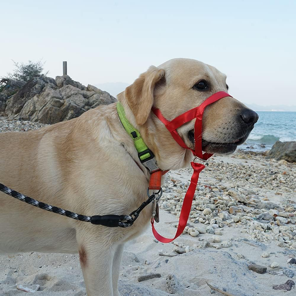 Dog Training Head Collar Halter Stop Pulling Training Tool Harness Strap Leader Purple S - Black L image number 4