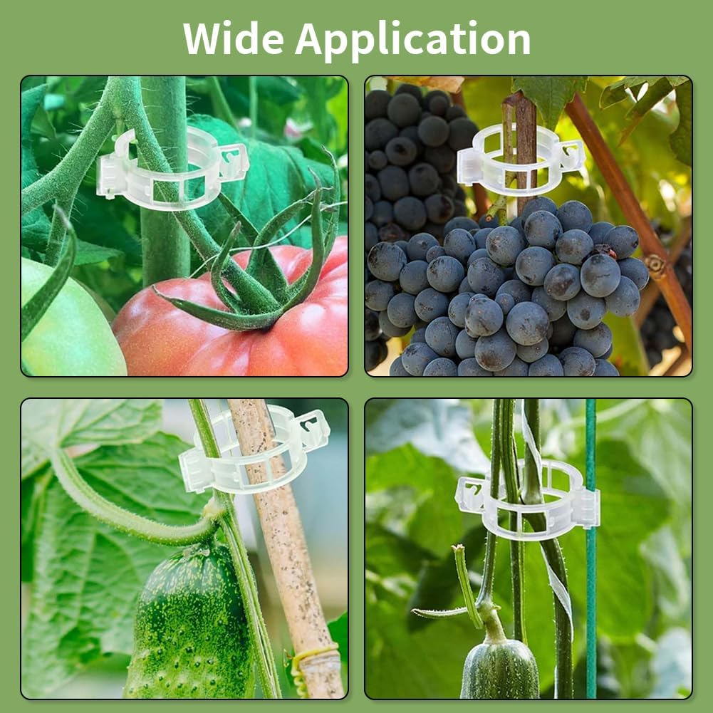 100Pcs Plant Support Clips for Climbing Plants, Reusable Plastic Trellis Clips for Tomato, Grape Vine, Vegetables, Garden Fixing Clips (100, Green) - 100, White image number 7