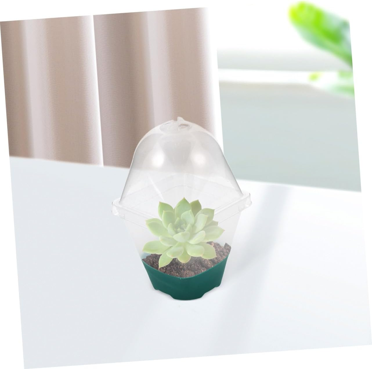 SUPVOX 6Pcs Seedling Tray Humidity Dome Small Reusable Plant Pots for Indoor Gardening Supplies Starter Pots for Plants image number 1
