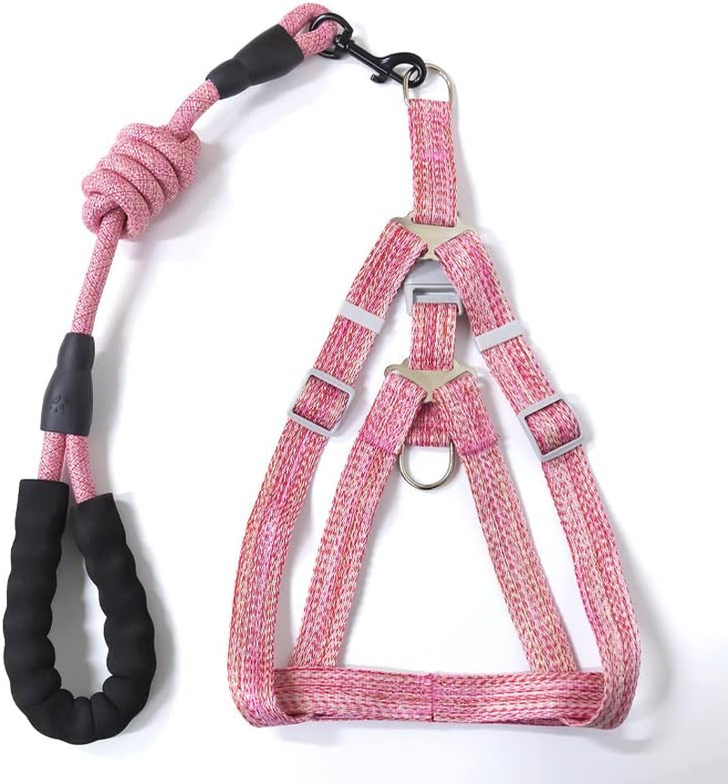 Premium No-Pull Dog Harness & Leash Set - Reflective Adjustable Step-In Vest for Small Medium Large Dogs (Pink, Large)