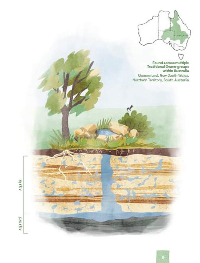 Every Rock Has a Story: an a to Z of Australian Geology image number 2