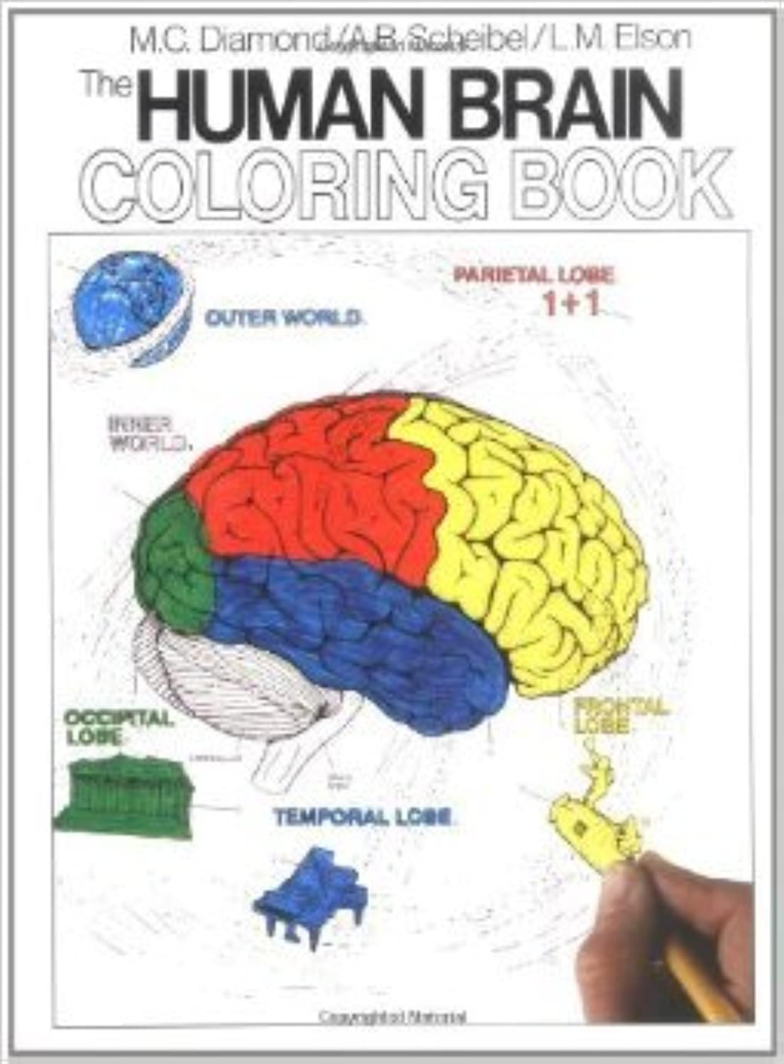 Human Brain Coloring Book image number 4
