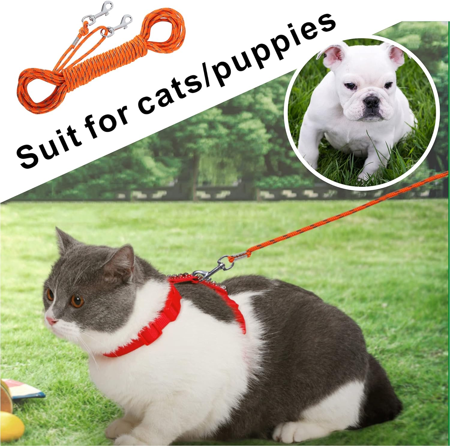 Reflective Cat Cable Out Leash - 30FT Escape Proof Walking Lead for Puppies/Kittens/Rabbits/Small Animals, Durable Safe Personalized Extender for Training and Outdoor Play image number 4