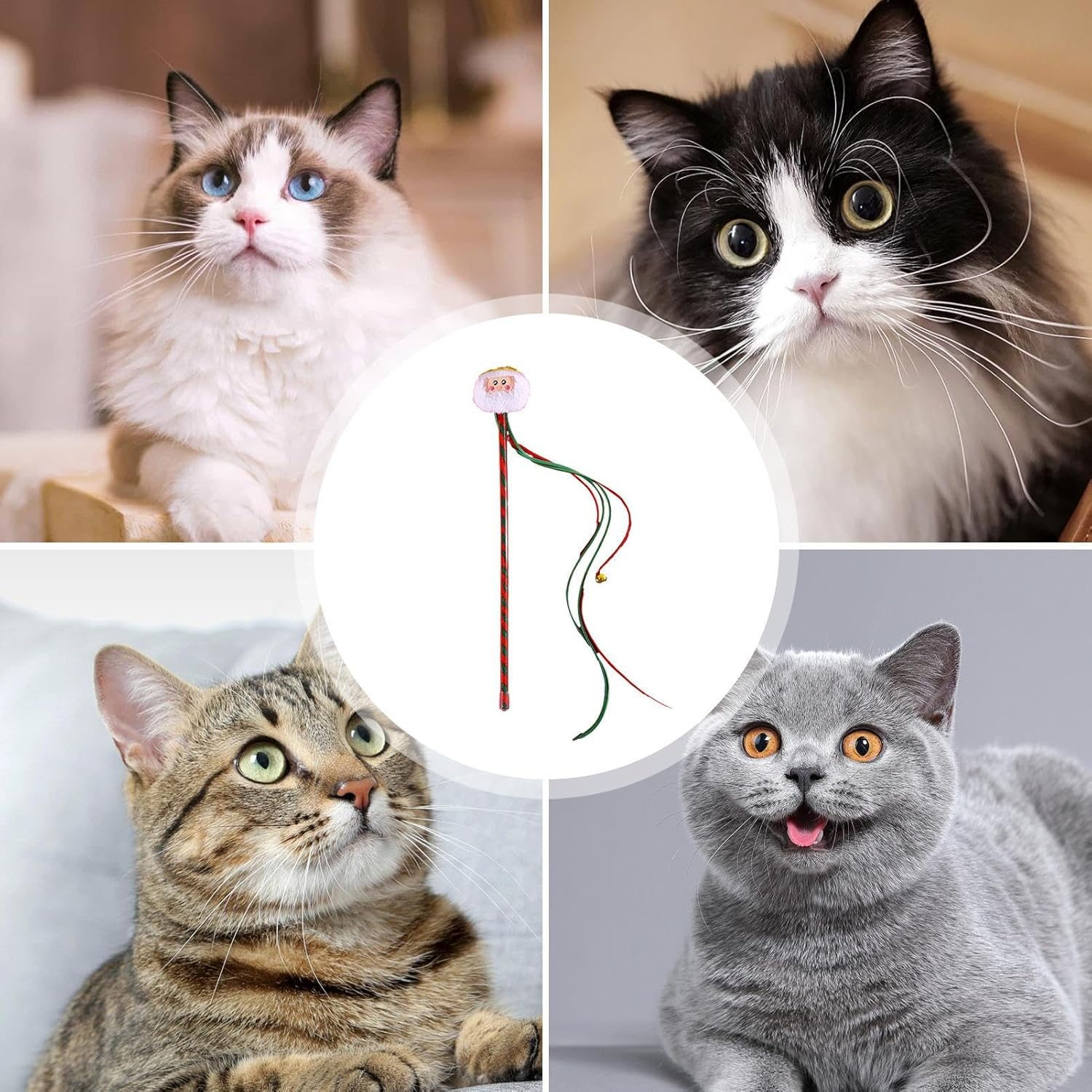 Cat Teaser Stick - Interactive Cat Toy - Portable Cat Wand Toys for Small Cat Pet Biting Chewing and Playing image number 5