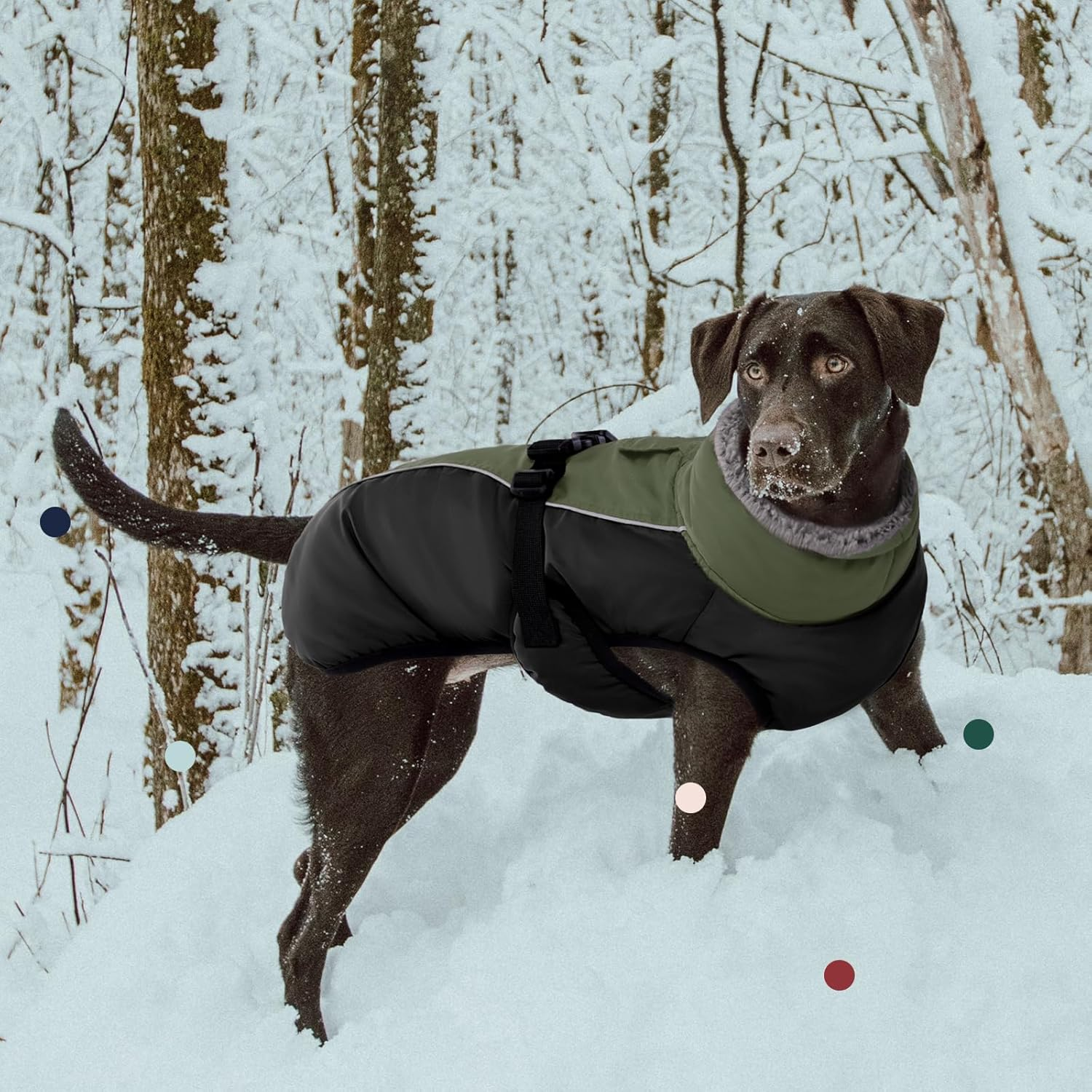 Iecoii Extra Warm Dog Coat Reflective Adjustable Winter Jacket with Buckle Fleece Turtleneck for Cold Weather, Soft for Small Medium Extra Large Dogs, Army Green image number 5