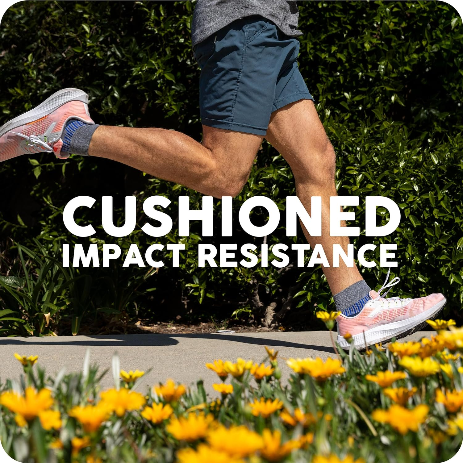 Balega Balega image number 6