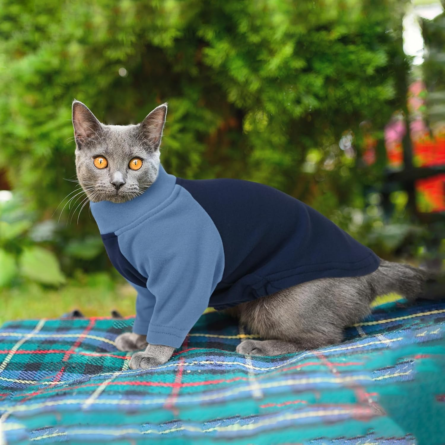DENTRUN Cat Jumper, Cat Sweater, Cat Fleece, Cat Warm Coat, Cat Pajamas, Hairless Cat Outfit, Cat T Shirt, Cold Weather Cat Pullover,Cat Cloth image number 2
