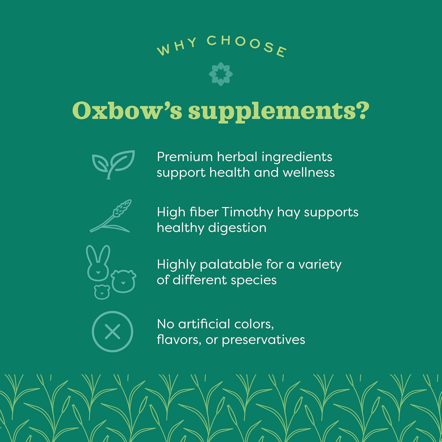 Oxbow Animal Health Natural Science Joint Support, anti Inflammatory Supplement for Rabbit & Guinea Pig, Oxbow Timothy Hay, Made with Glucosamine, Turmeric, & Yucca, Made in USA, 120G image number 2