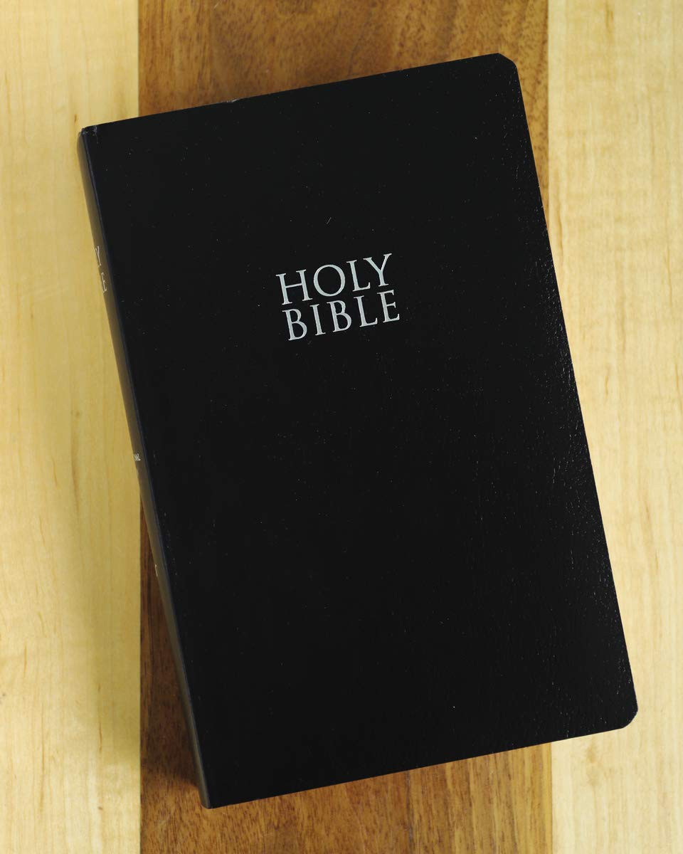 NIV Gift and Award Bible Red Letter Edition [Black] image number 6