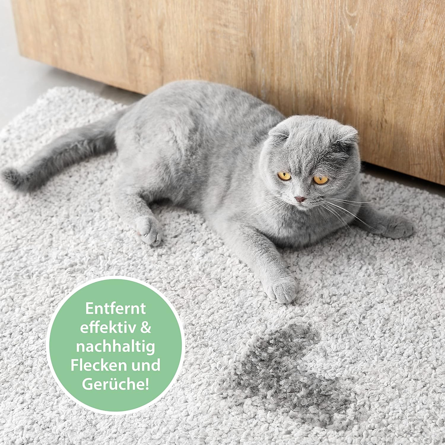 Pipi-Weg Cat - Biological Odour Remover & Stain Remover Spray - 100 Ml - against Cat Urine, Faeces & Vomit - Deep Pore Cleaning in the Home & Animal Area - for Cat Litters image number 2