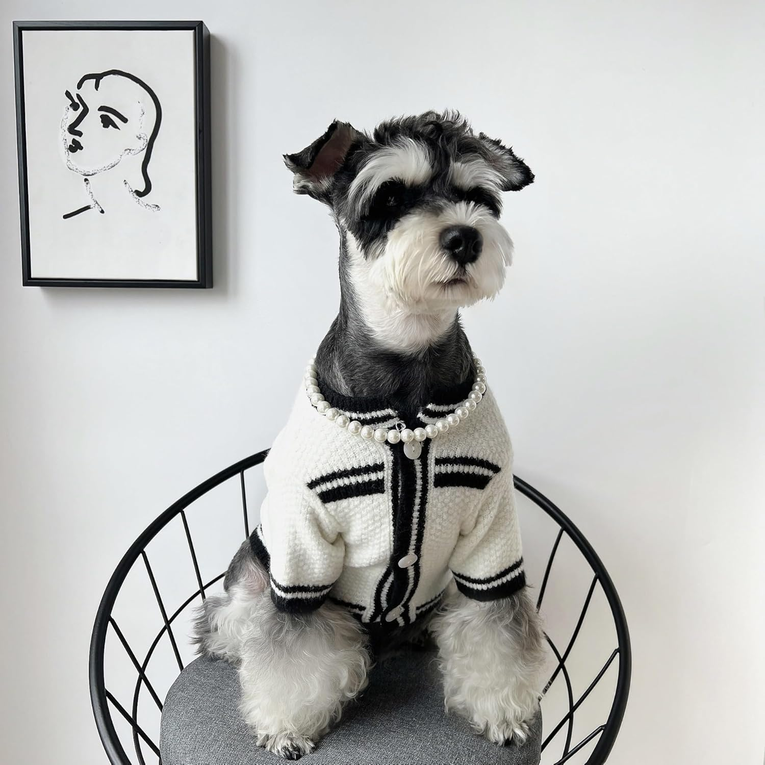 Colorful Beaded Dogs Necklace with Adjustable Extension Chain, Pet Fashion Necklace Jewelry Accessories for Cats and Dogs (Style1, L) image number 4