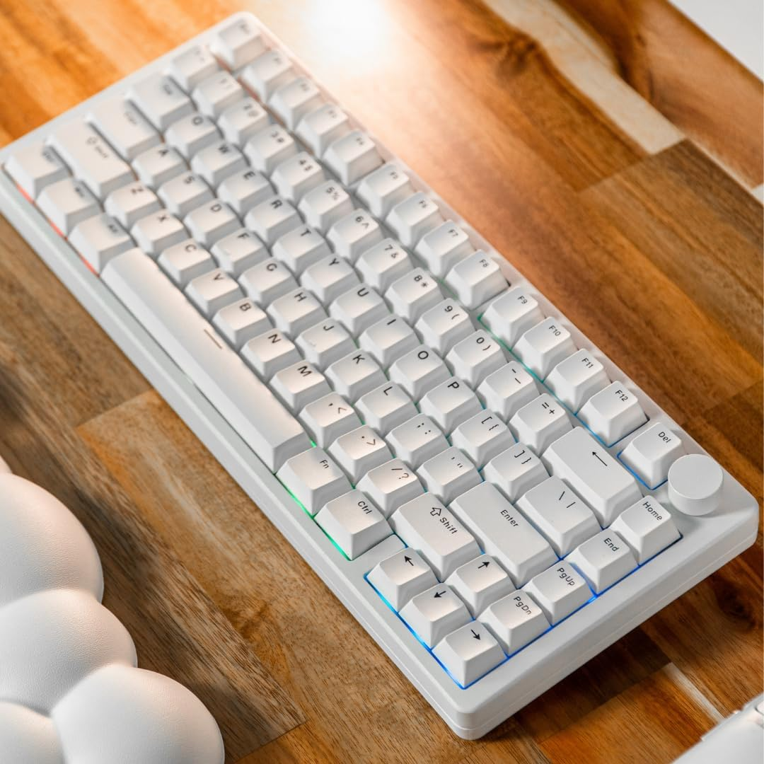 Aftershock ODEN75 Wireless Mechanical Gaming Keyboard | 75% Keyboard | Wireless/Bluetooth | Snow Leopard V2 Linear Switches | White Gaming Keyboard image number 1