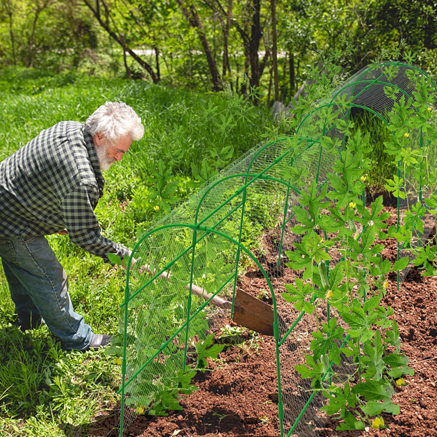 Codree 2 Packs Garden Cucumber Trellis for Plant- 47 X 47 Inch Metal Arch Melon Trellis for Raised Bed- Foldable Tunnel Trellis with Climbing Net Clips for Growing Vine Vegetable - 2Pcs-47X47Inch image number 4