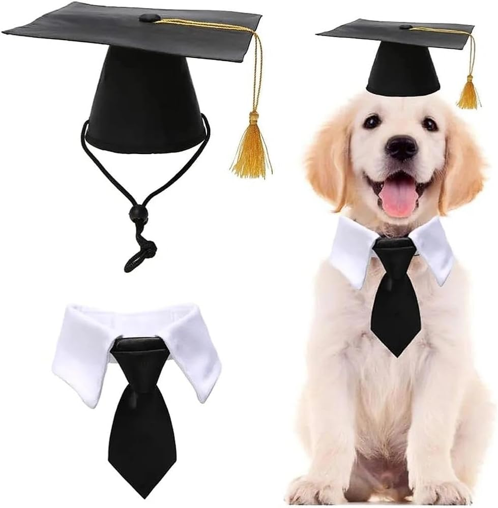 Pet Graduation Cap and Dog Hat Set with Bow Tie &ndash; Adjustable Black Cap with Yellow Tassel for Cats & Small Dogs, Graduation Costume Outfit &ndash; Ruibex