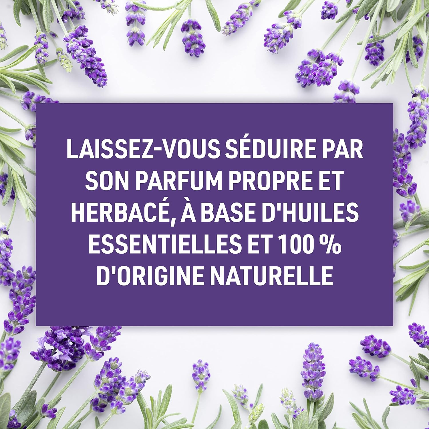 Schmidt'S Natural Deodorant Stick Lavender & Sage Deodorant without Aluminium for Long-Lasting Freshness 75 G 1 Piece image number 4