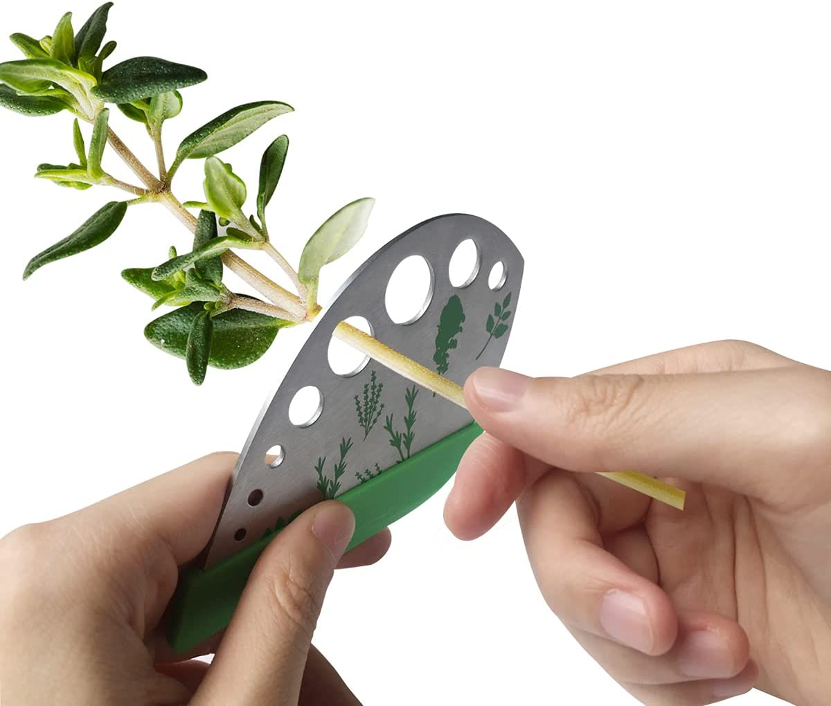 Herb Stripper Stainless Steel Kitchen Herb Leaf Stripping Tool Kitchen Gadgets for Kale, Chard, Collard Greens, Thyme, Basil, Cilantro Tool (9 Holes)