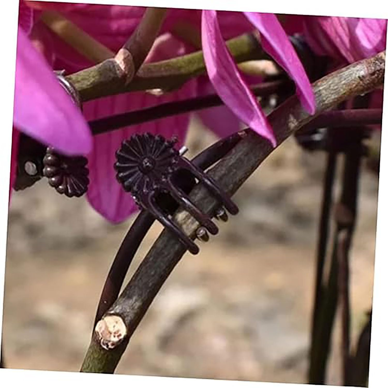 EOMECUIGAO Plant Orchid Clips 100 PCS Durable Garden Plant Clamps for Stems Branches Vines Secure Flowers Support Growth Prevent Drooping in Greenhouses Gardens Potted Plants（Dark Brown） image number 6
