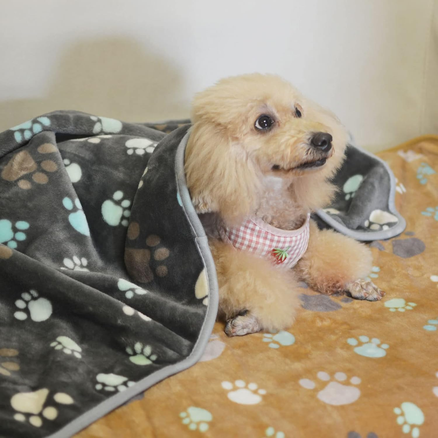 3Pcs Guinea Pig Blankets Small Animal Flannel Guinea Pig Cage Liners,Small Pet Sleep Blankets,Soft Puppy Sleep Blankets Small Puppy Sleep Blankets,Puppy Blankets Soft Warm Sleep Mat Puppy Blankets image number 1