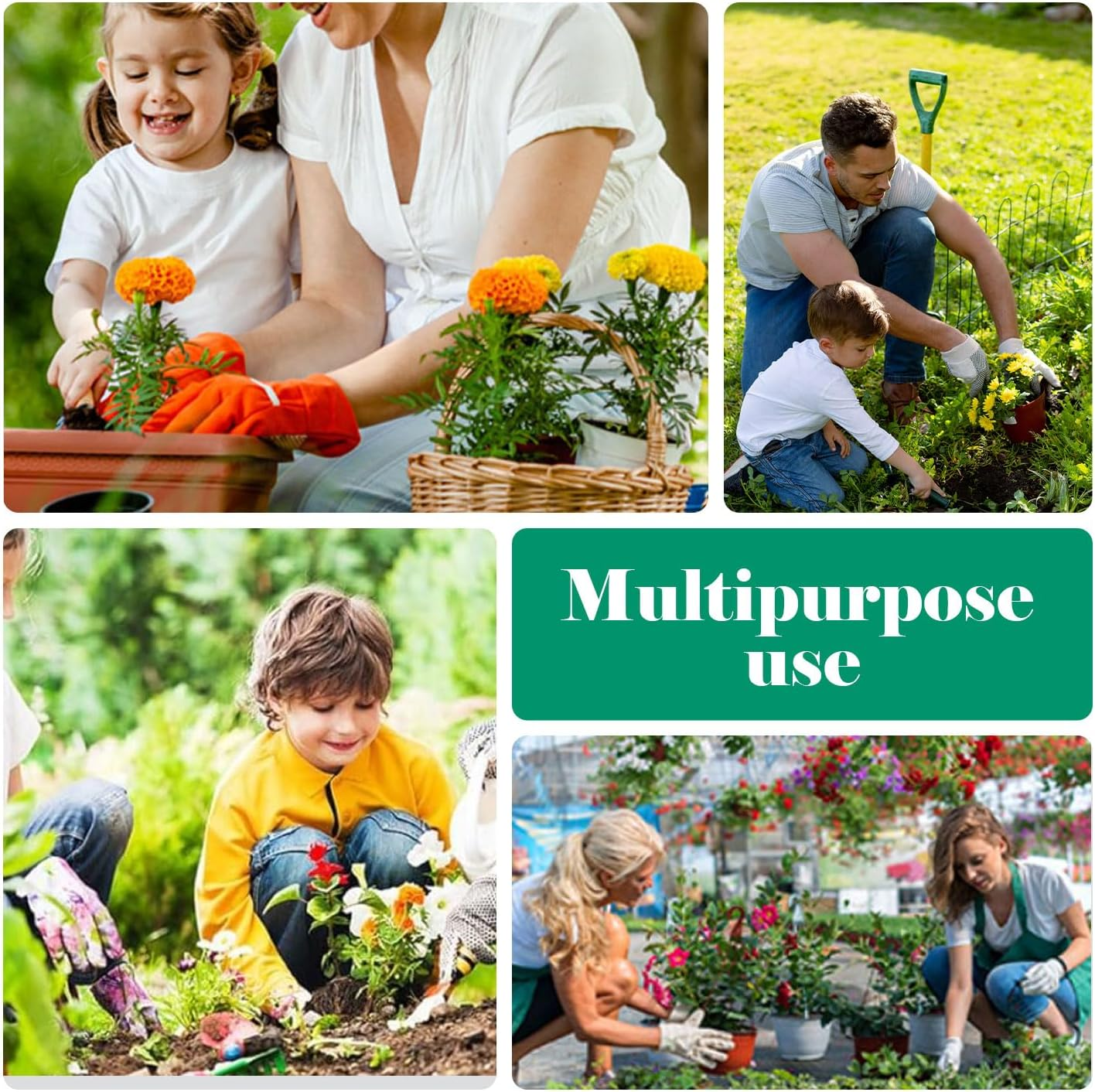 Gardening Hand Weed Remover, Manual Weed Remover Device, Stainless Steel, Joint Scraper with Handle, Garden Tool, Weed Remover, Garden Tool for Digging, Weeding, Transplanting Soil Loosening image number 3