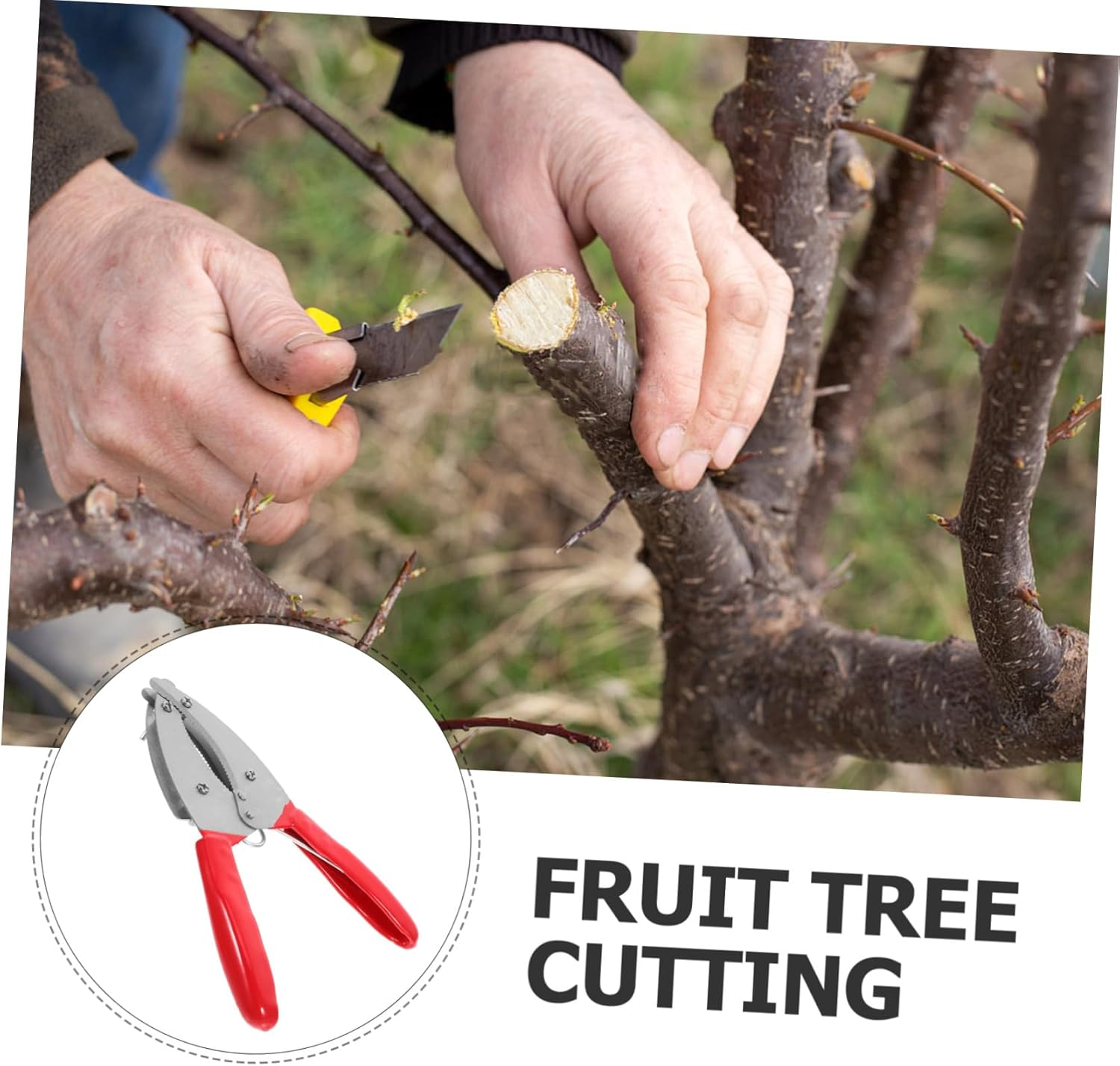 Mipcase Girdling Cutter for Fruit Trees Compact Hand Tool for Plant Stripping and Bark Cutting Lightweight Fruit Planting Tool for Orchards and Gardens image number 4