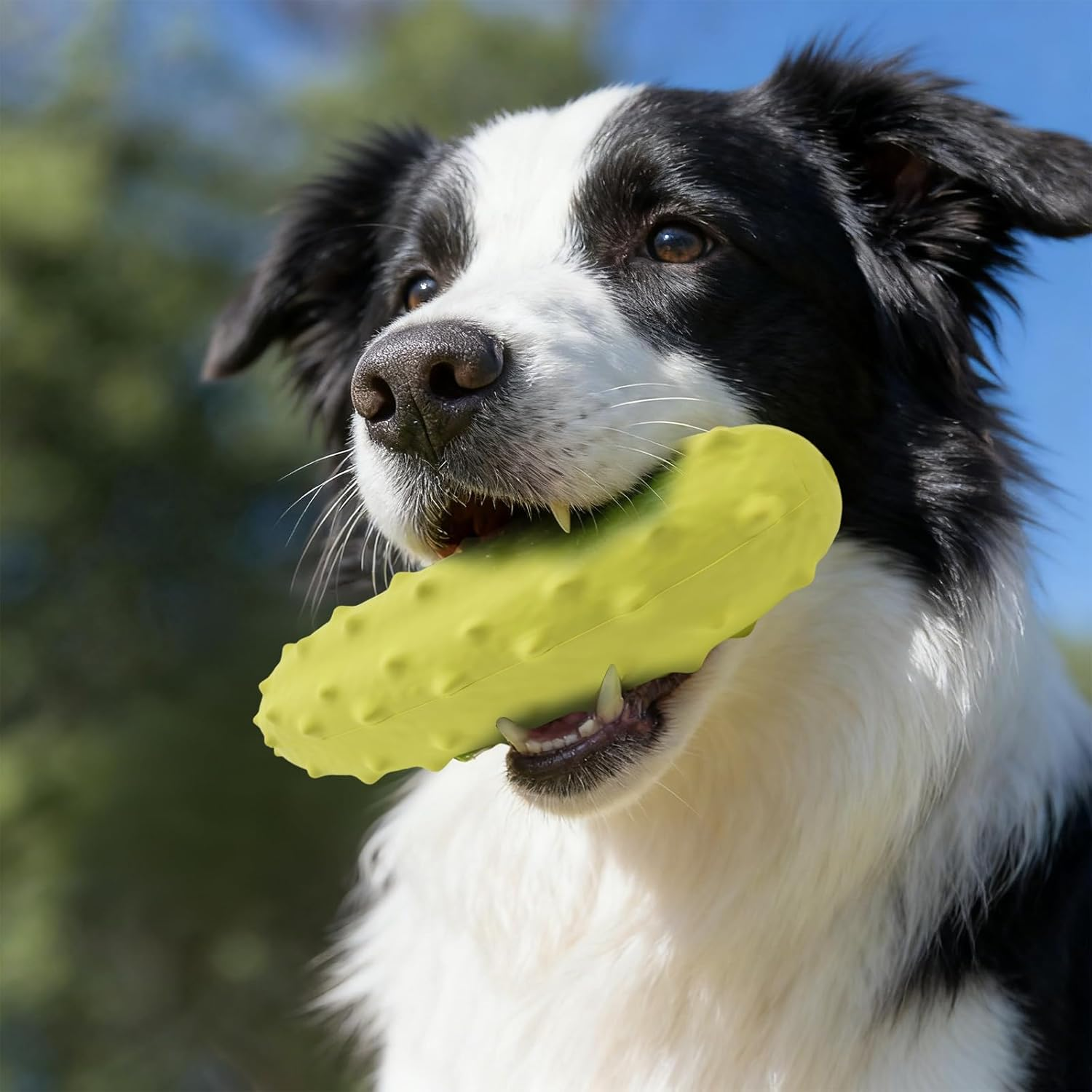 LIFLIX 2PCS Tough Squeaky Dog Toys, Durable Dog Chew Toy with Natural Rubber, Teething Toys for Medium Large Breeds, Yellow and Green Cucumber Pickle image number 1