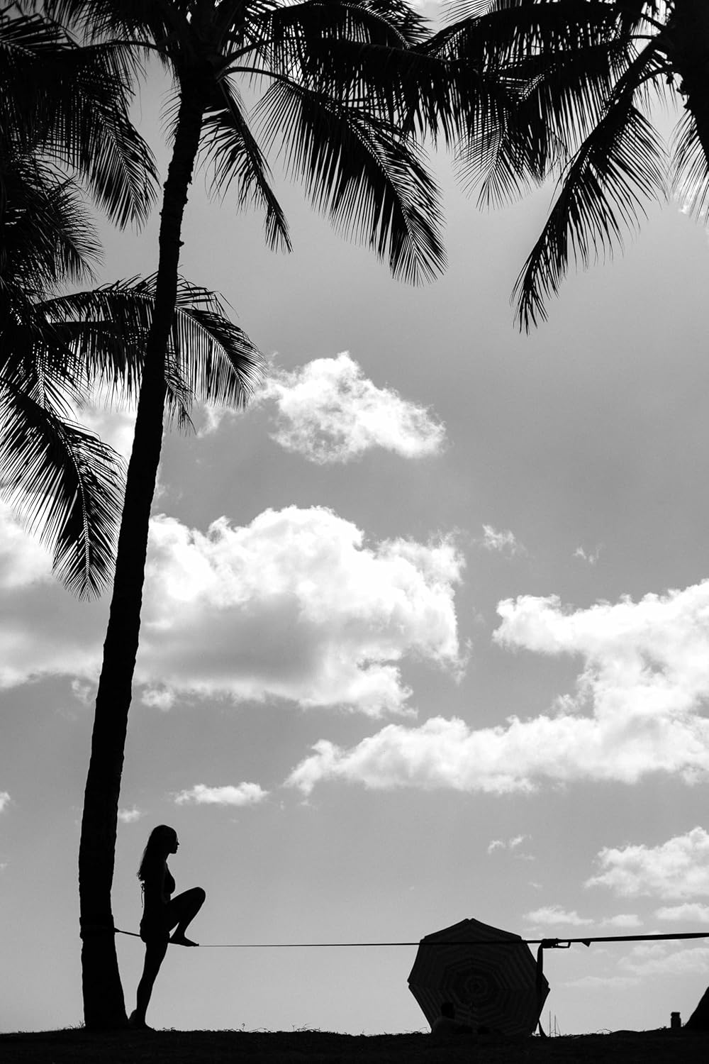 Zenmonkey Infinity Slackline Kit - 100 Foot Longline Slackline with Ergo Ratchet, Tree Protectors, Cloth Carry Bag and Instructions - Easy Setup for the Family, Kids and Adults