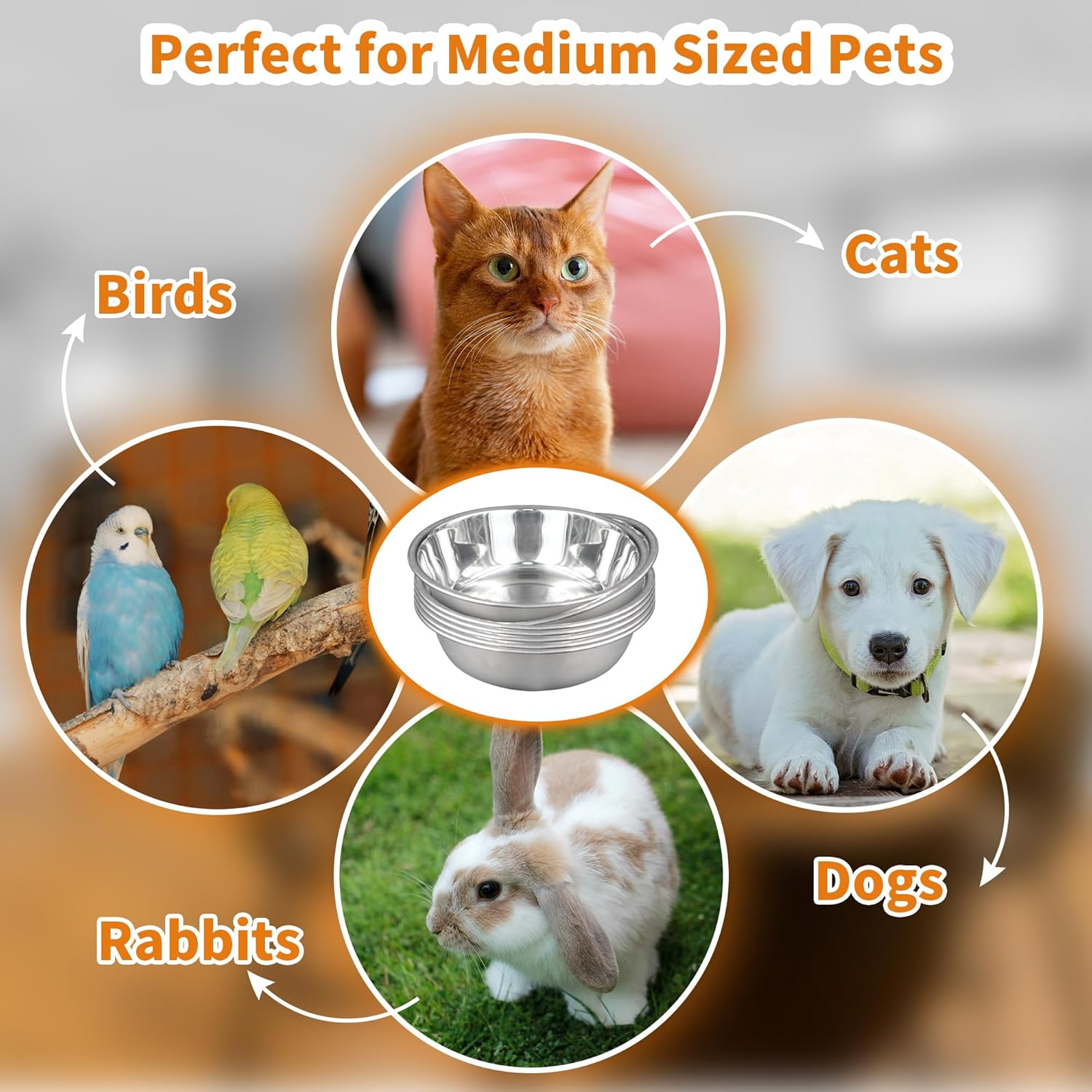 8Pcs Stainless Steel Cat Bowls for Indoor Cats, 5.5" Metal Cat Bowl Small Dog Water Bowl, 12 OZ Cat Food Bowl Shallow Pet Bowls, Easy to Clean Cat Dishes for Food and Water (8Pcs) image number 5