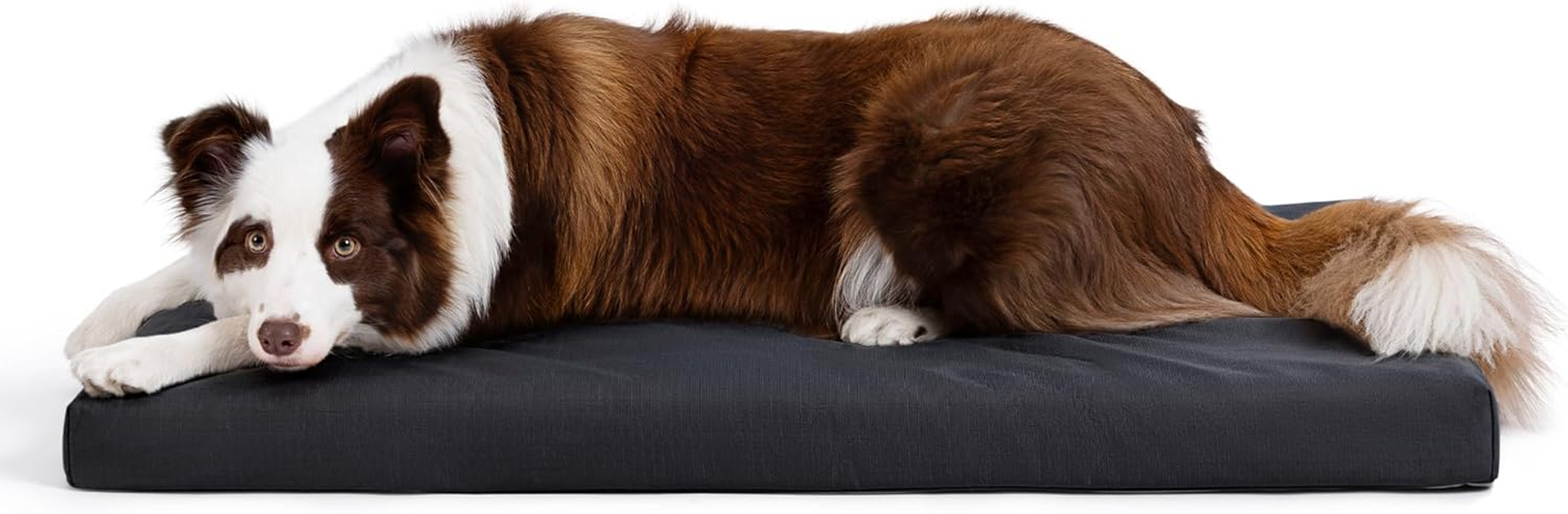 Cybarmour Chew Proof Dog Bed - Outdoor Waterproof Chew Resistant Dog Crate Pad - Orthopedic Kennel Mat for Aggressive Chewers - Medium Breeds & Fits L 77Cm Crate - 74X46X7.5Cm, Limestone