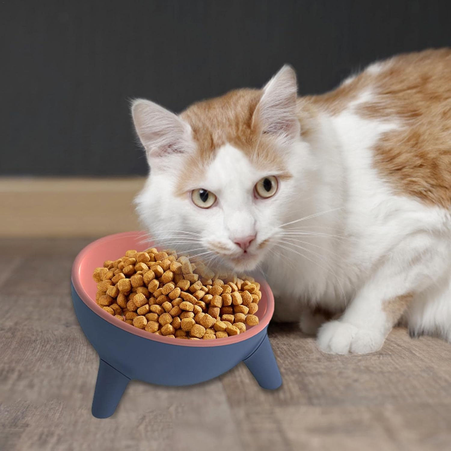 Elevated Cat Bowls - Dog Water Bowls - Pet Bowl Shallow Cat Water Bowl to Stress Relief of Whisker Fatigue, Dog Bowl Cat Feeding Wide Bowls for Puppy Cats Small Animals (Color : Red) image number 4