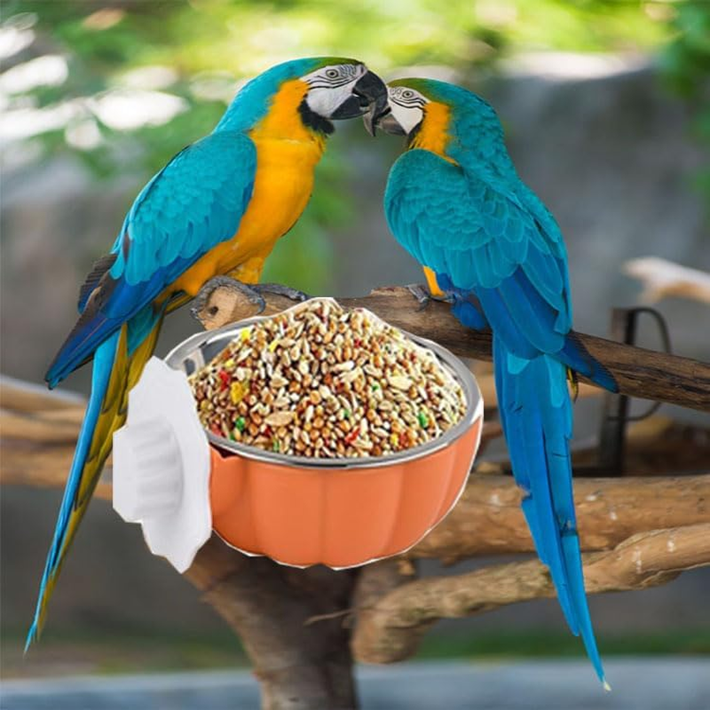 Limcryspp Stainless Steel Anti-Spillage Bird Food Bowl, Hanging Parrot Food Basin, Suitable for Indoor and Outdoor Cage Keeping of Black Phoenix, Peony and Tiger Parrots to Prevent Overturning (Big) image number 6