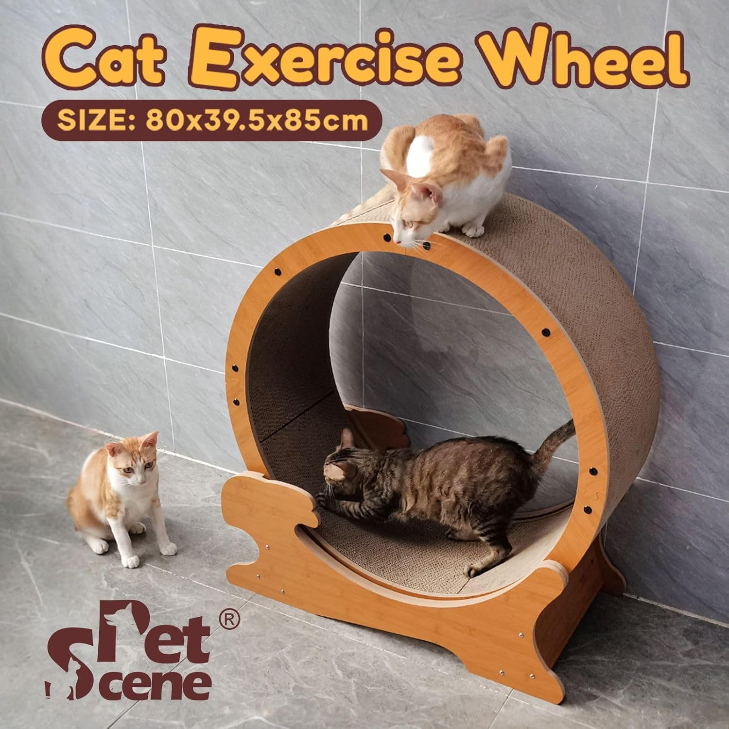 Pet Scene Cat Exercise Wheel Toy Running Exerciser Treadmill Scratching Furniture Scratcher Board Roller Indoor Kitten Play Gym Kitty Training Sports Equipment image number 6