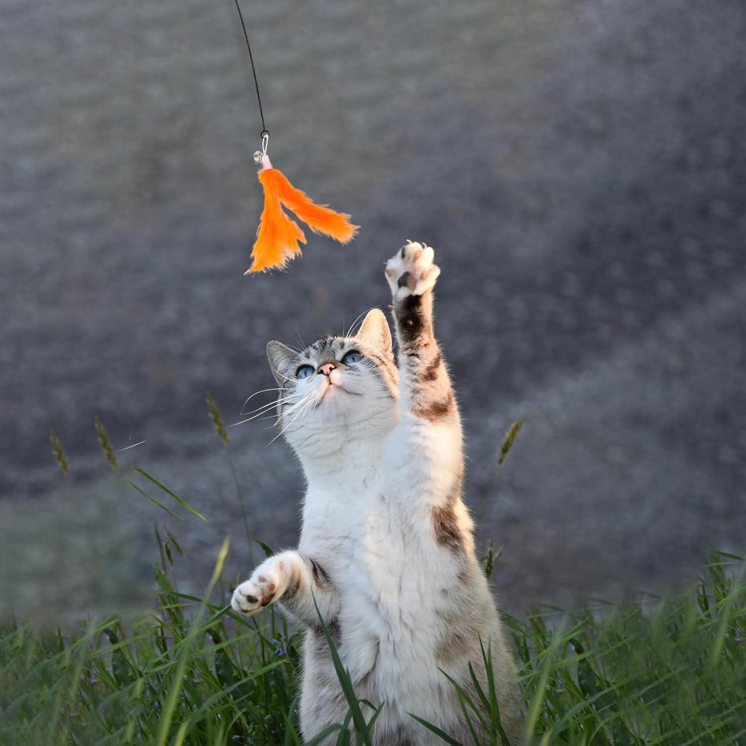 CAPASTEC 2Pcs Feather Cat Stick Replacement for Pet Interaction Orange White