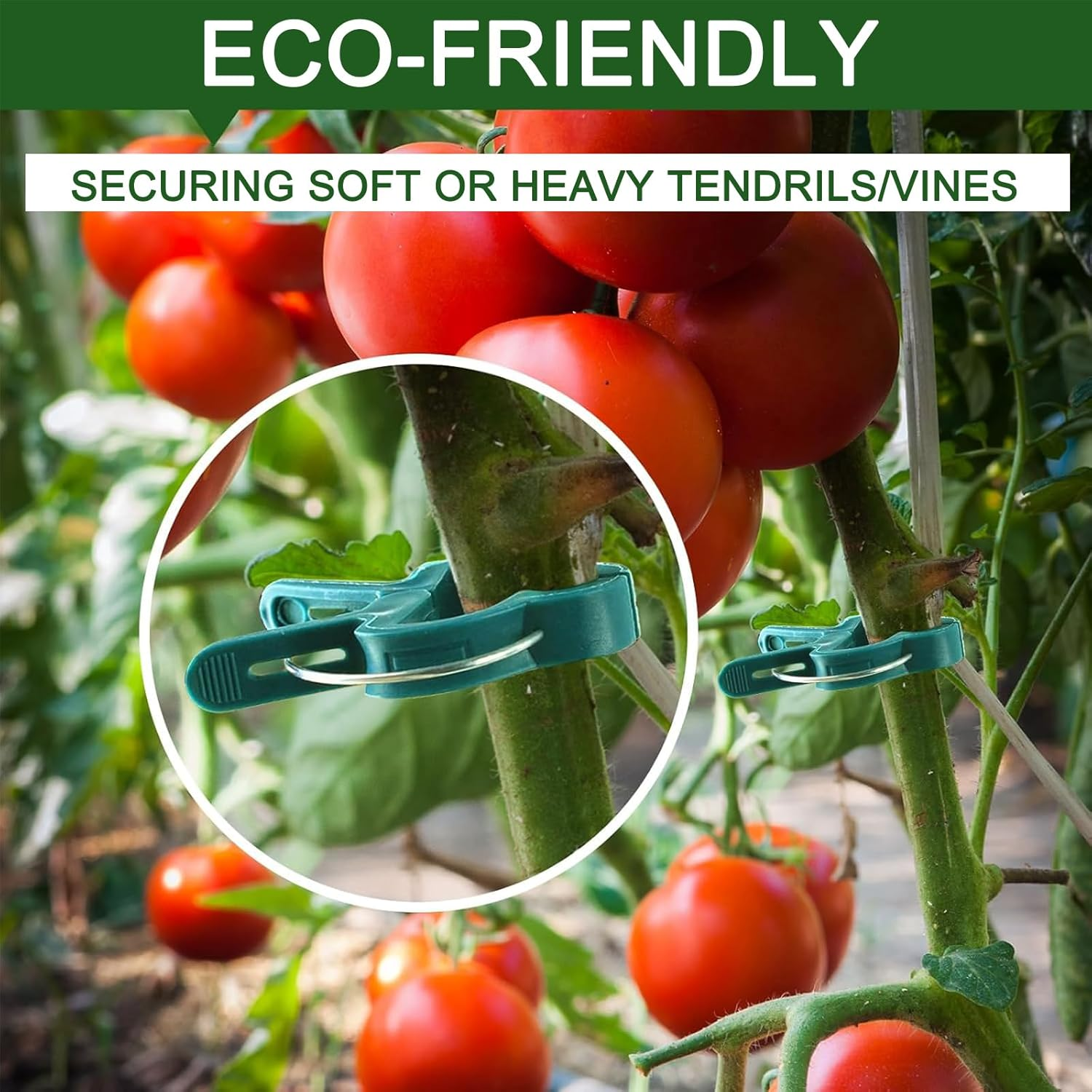 Plant Support Clips for Vines & Tomatoes | Reusable Garden Clips for Strong Vine Support & Healthy Growth | Ideal for Tomato Plants and Climbing Garden Plants (20Small 20Big) image number 4