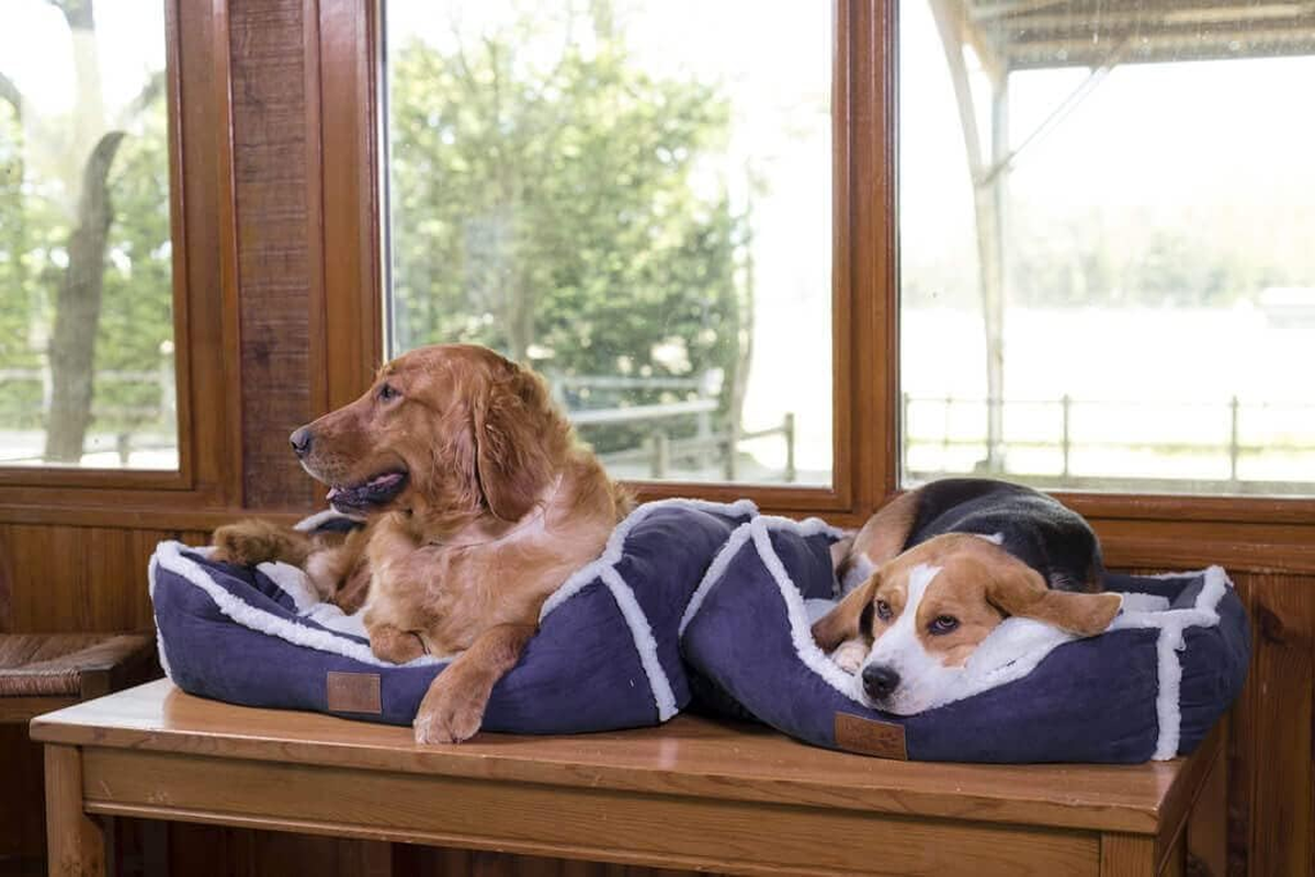 EKKIA France Dog Bed Cushion Sofa DIEGO & LOUANA Bed for Medium and Large Dogs (Dark Gray)