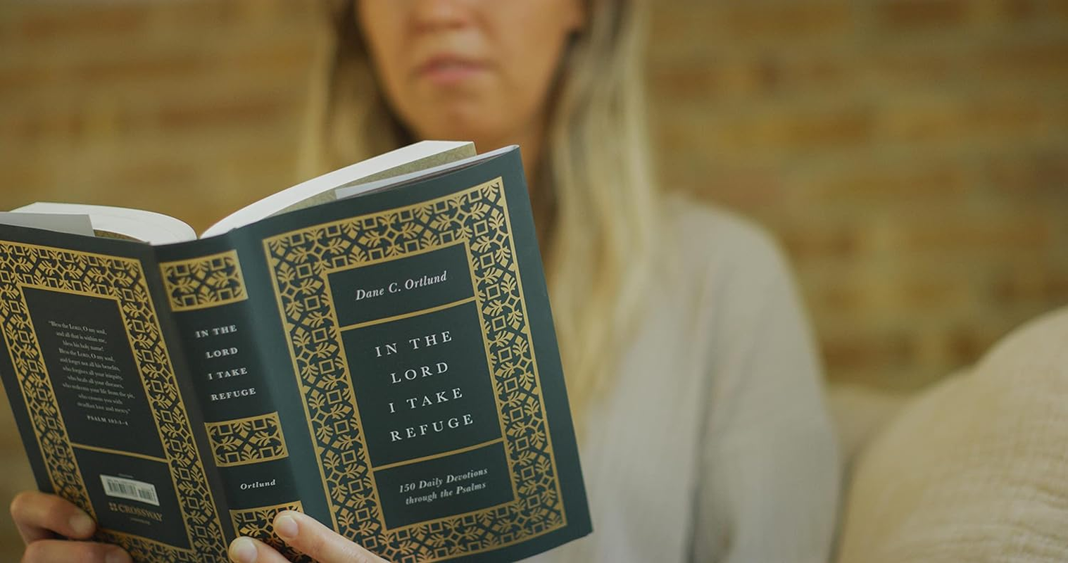 In the Lord I Take Refuge: 150 Daily Devotions through the Psalms