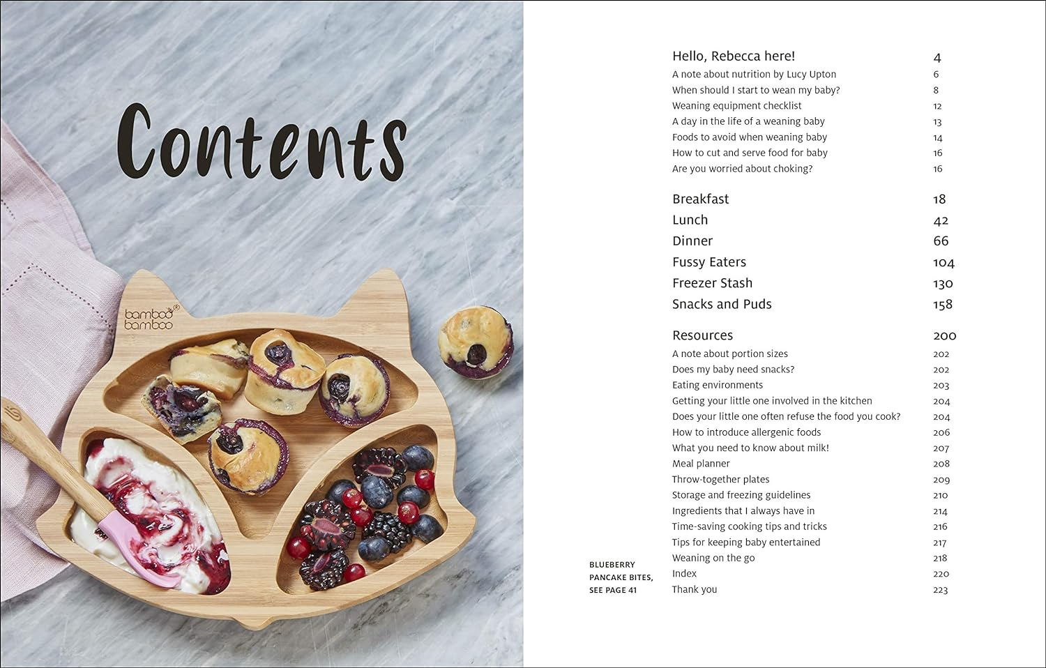 What Mummy Makes: Cook Just Once for You and Your Baby image number 3