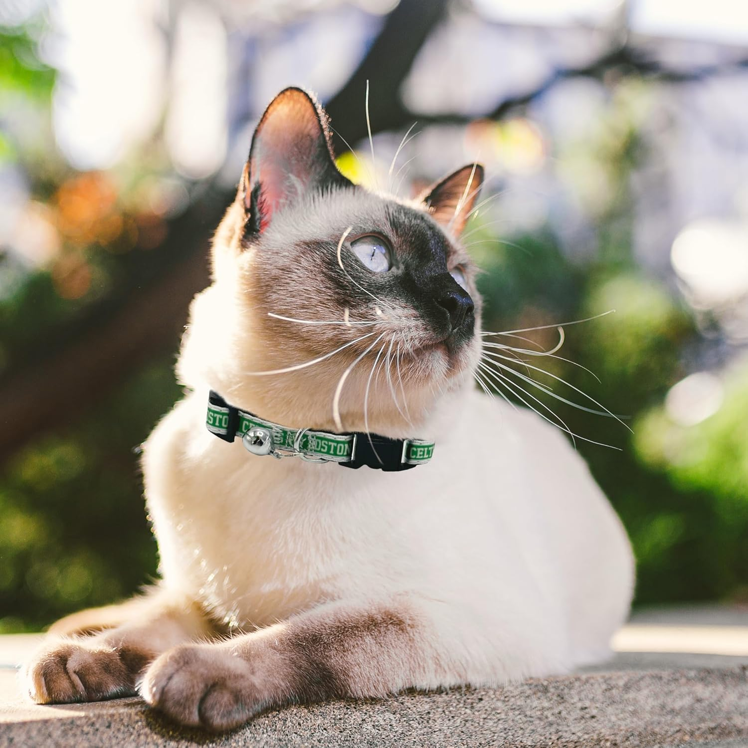 NBA BOSTON CELTICS CAT COLLAR Adjustable Break-Away COLLAR for CATS with Licensed Team Name & Logo. Cute & Fashionable Basketball Sports Cat Collar with Metal Jingle Bell - Team Color image number 2