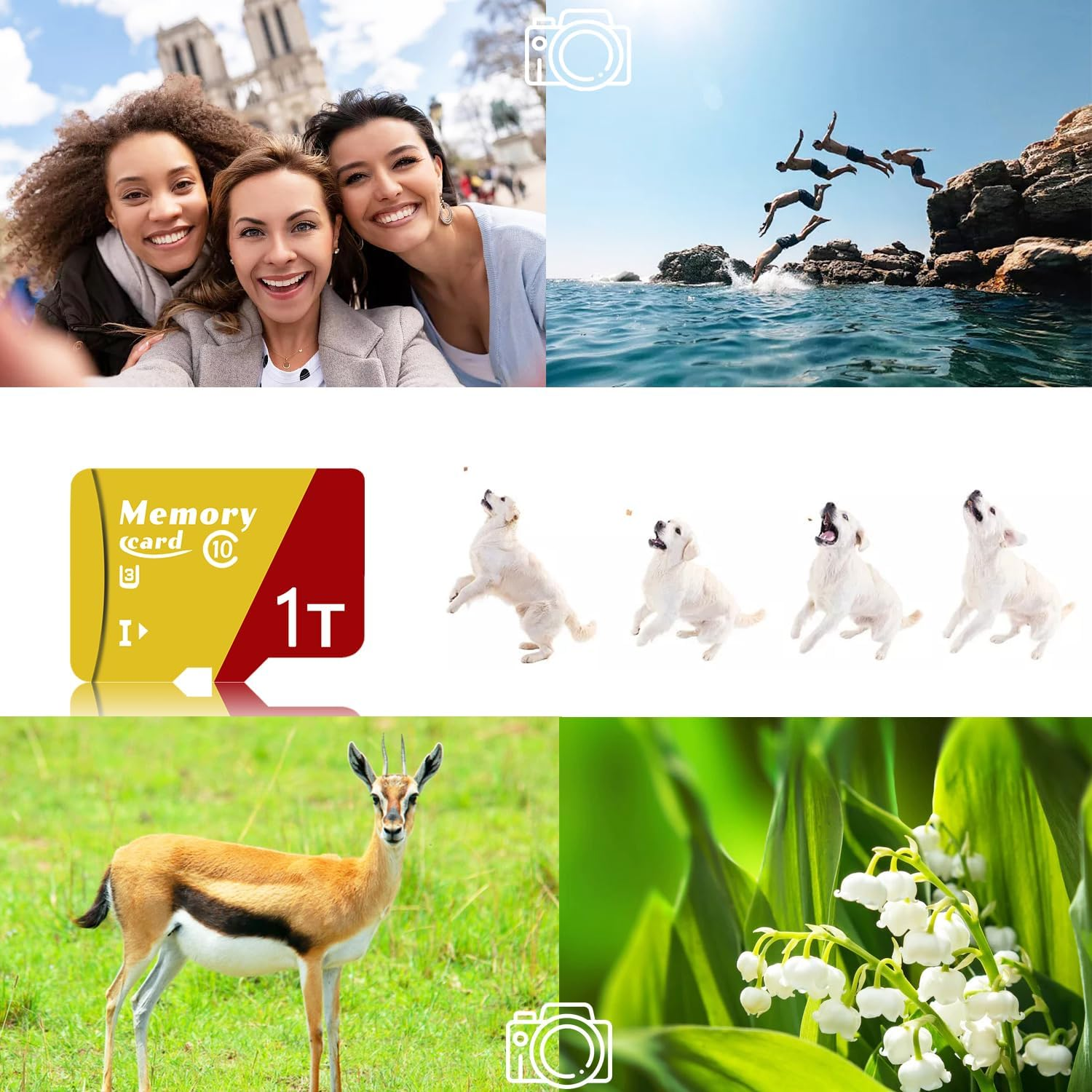 1024GB Micro Card with Adapter - Class 10, U3, A2 App Performance - Compatible with Smartphones, Tablets, Cameras & Gaming-Ze1024Gb image number 1