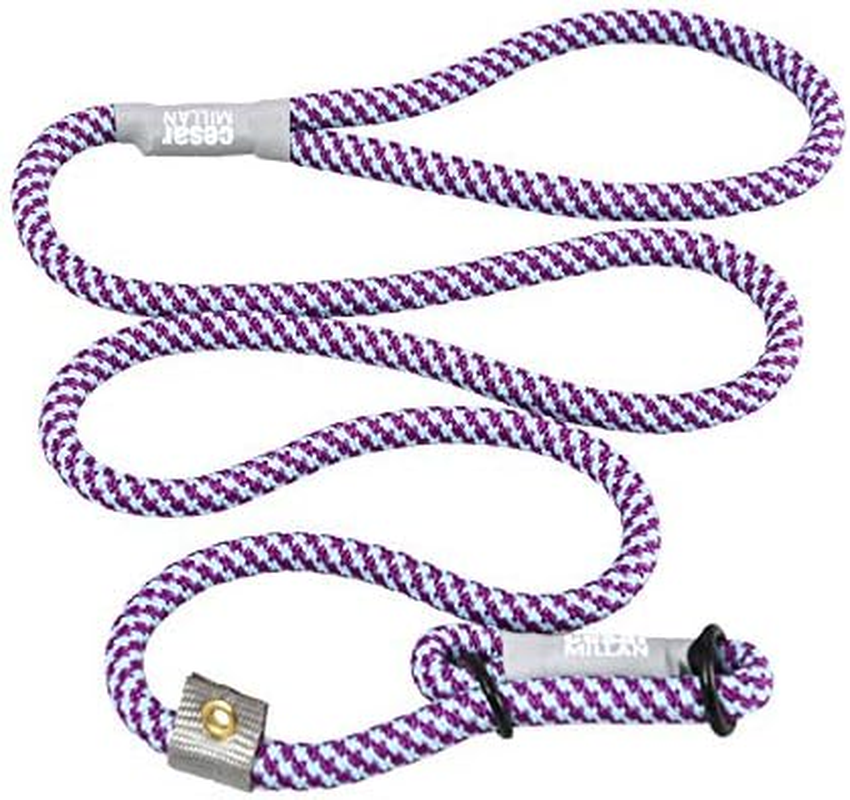 Cesar Millan Slip Lead Leash&trade; - Slip Collar Training Lead Gives You Greater Control and the Ability to Make Quick and Gentle Corrections (Regular, Black) image number 2