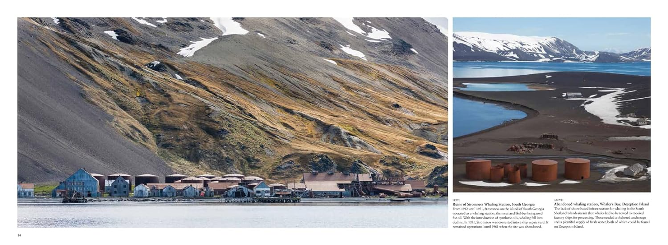 Antarctica: Life on the Frozen Continent image number 1