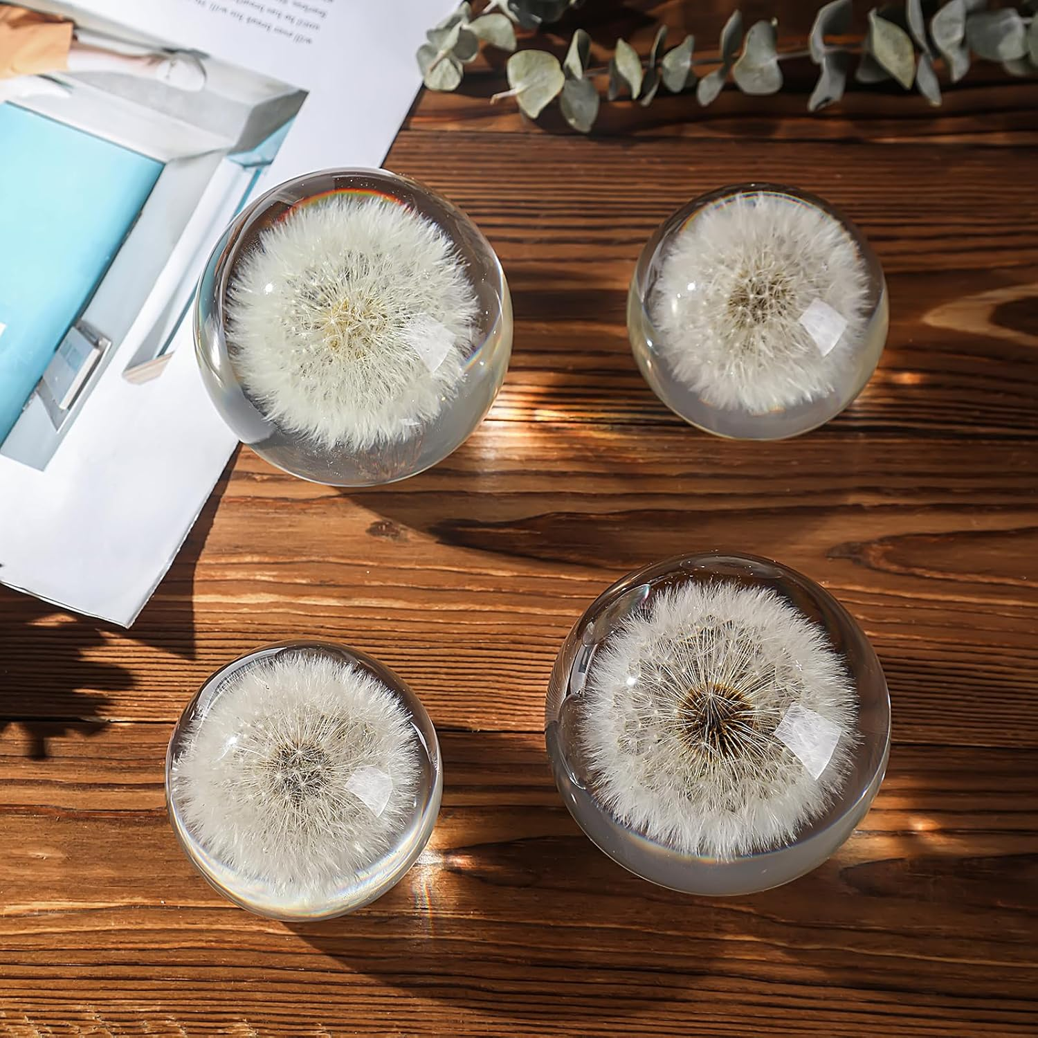 Dandelion Paperweight in Crystal Glass &ndash; Real Preserved Dandelion, Symbol of Hope, Luck, or New Beginnings &ndash; Elegant Gift with Gift Box & Card (Dandelion, 65 Mm) image number 3