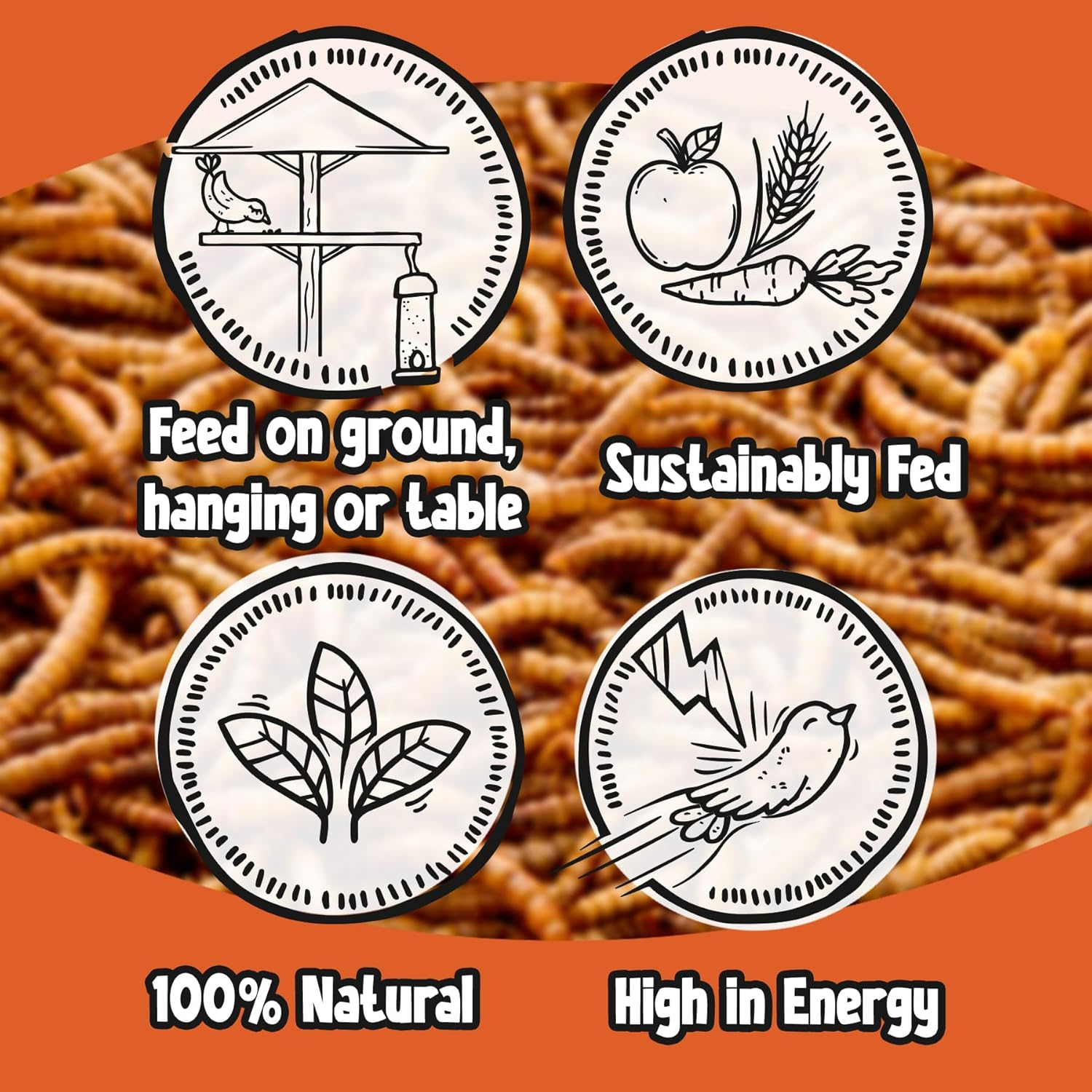 Chubby Mealworms (2 Kg), Dried Mealworms for Wild Birds, Protein Rich Dried Meal Worms High Energy Dried Mealworms for Birds, Reptiles, Gecko image number 3