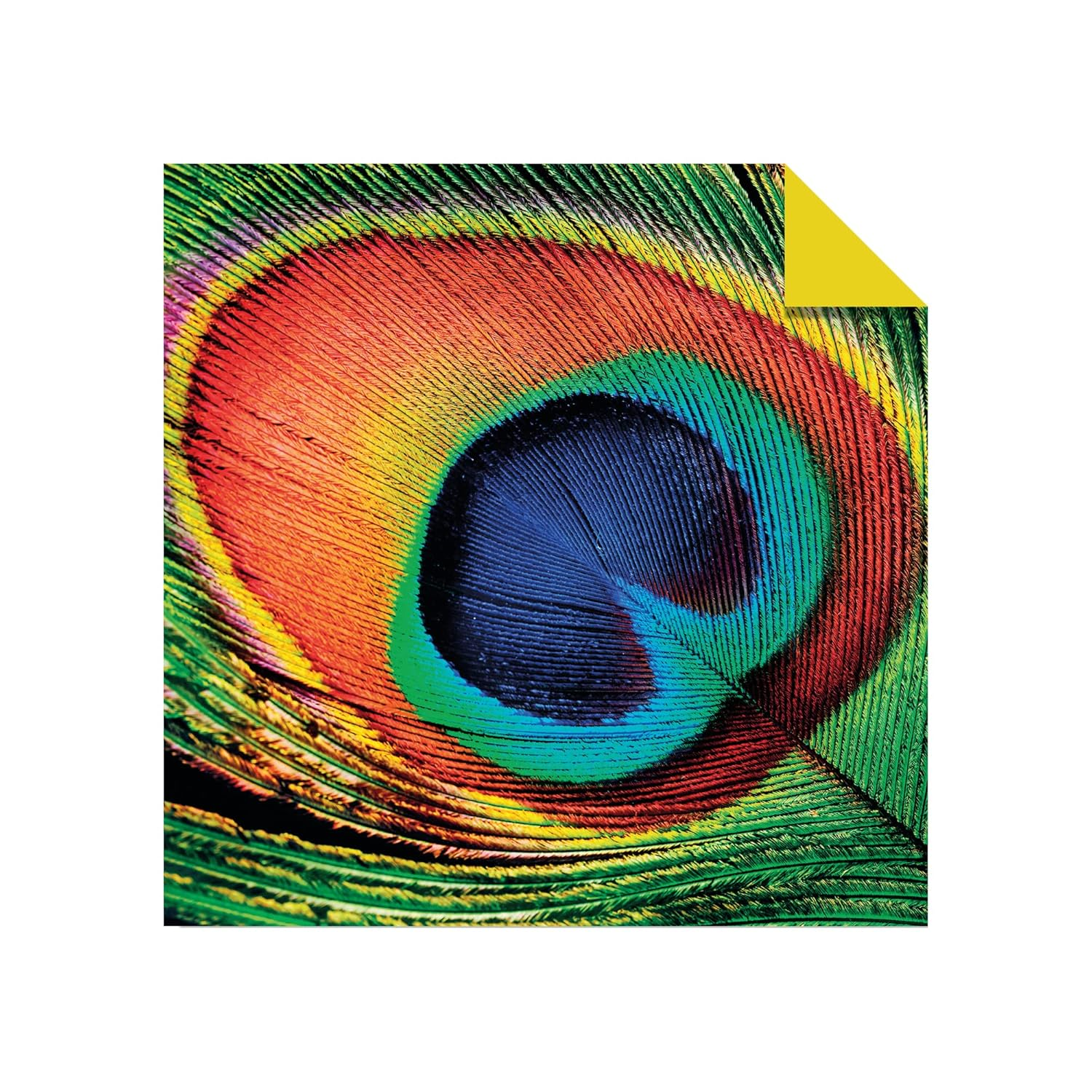 Origami Paper 500 Sheets Nature Photo Patterns 6" (15 Cm): Tuttle Origami Paper: High-Quality Double-Sided Origami Sheets Printed with 12 Different Designs (Instructions for 6 Projects Included) image number 5