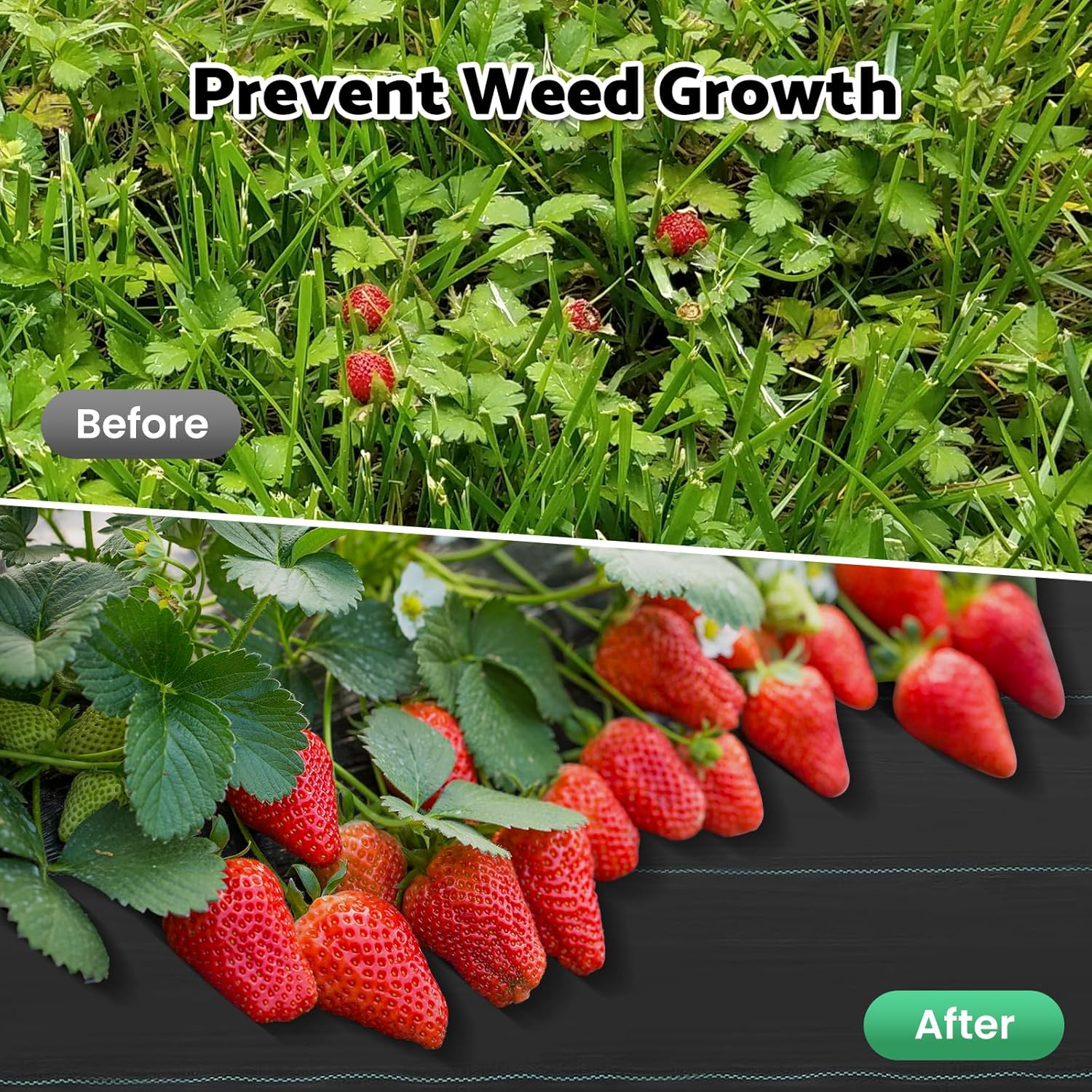 Advwin Weed Mat, 3.66 X 50M Weedmat Weed Control Mat, Woven Fabric Durable Barrier Matting, High Permeability & UV Resistant Woven Ground Cover for Outdoor Greenhouse Garden Lawn Supplies image number 2