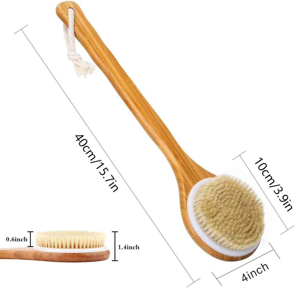 Shower Brush with Natural Bristle - Long Bamboo Handle Bath Body Brush for Wet or Dry Brushing - Improves Blood Circulation, Exfoliating Skin image number 2