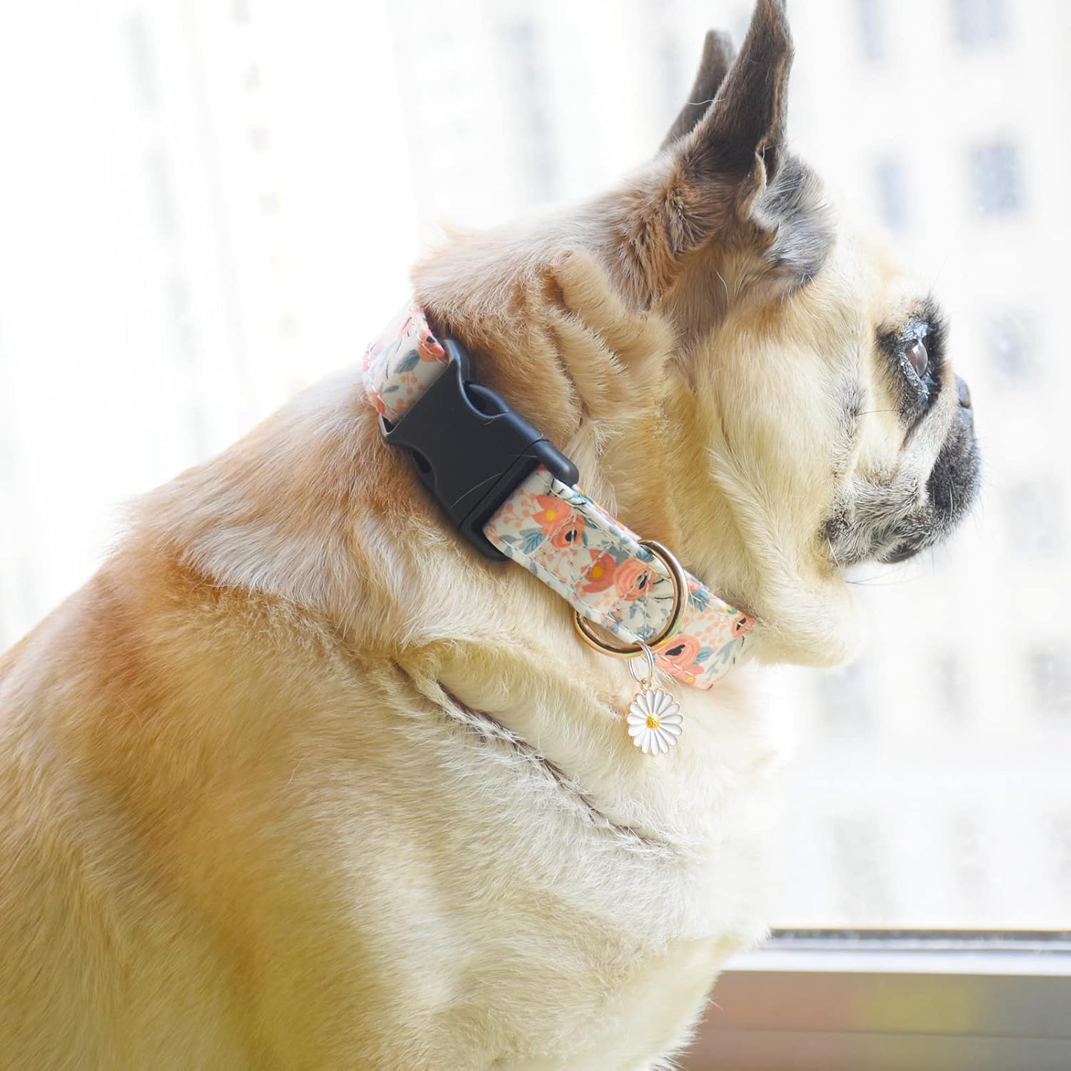 2 PCS Cotton Dog Collar Soft Cute Flower -3 Sizes Soft Nylon Puppy Collar Adjustable for Girl Female Small Medium Large Dogs (M(13-18In), Flower-1) image number 2